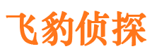 岳池侦探调查公司